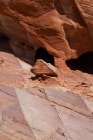 USA-Nevada Abstract lines in the sandstone-Valley of Fire State Park Art Print